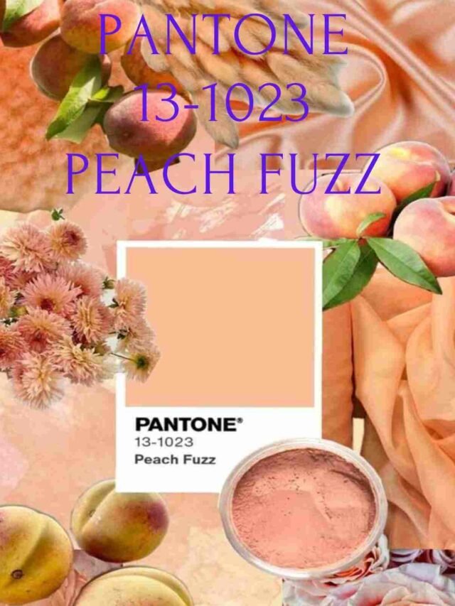 peach fuzz pantone 13-1023 2