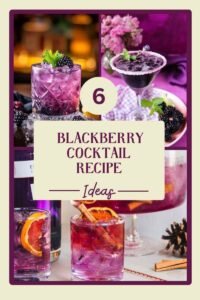 blackberry cocktail receipe m