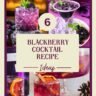 blackberry cocktail receipe m